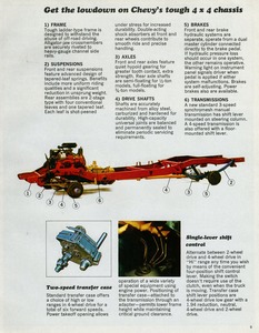 1969 Chevrolet Pickups-09.jpg